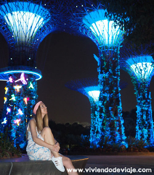 Que ver en Singapur en 3 días - Garden Raphsody en Gardens by the Bay
